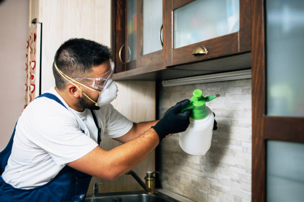 Best Wasp Removal Services  in Cornelia, GA