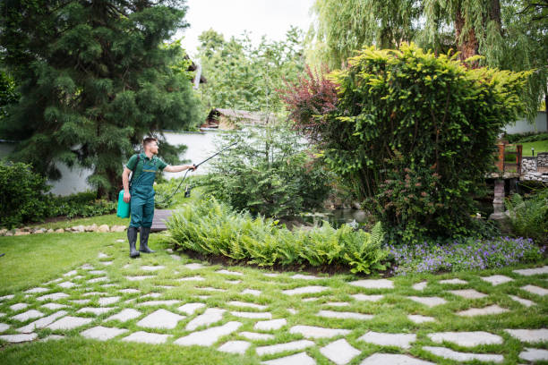 Best Pest Removal Services  in Cornelia, GA