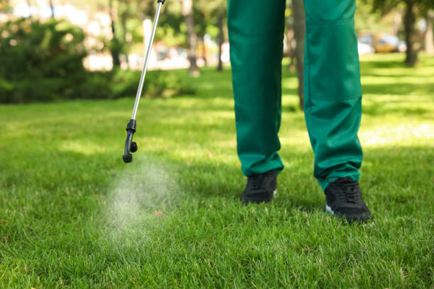 Best Cockroach Control Services  in Cornelia, GA