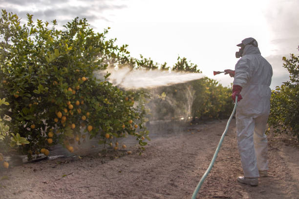  Cornelia, GA Pest Control Pros