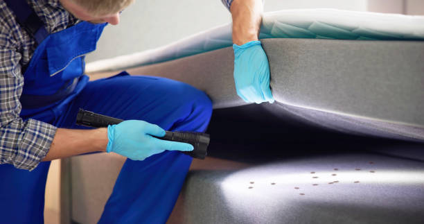 Best Commercial Pest Control Services  in Cornelia, GA