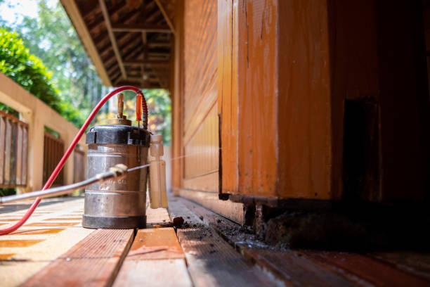 Best Exterminator Services  in Cornelia, GA