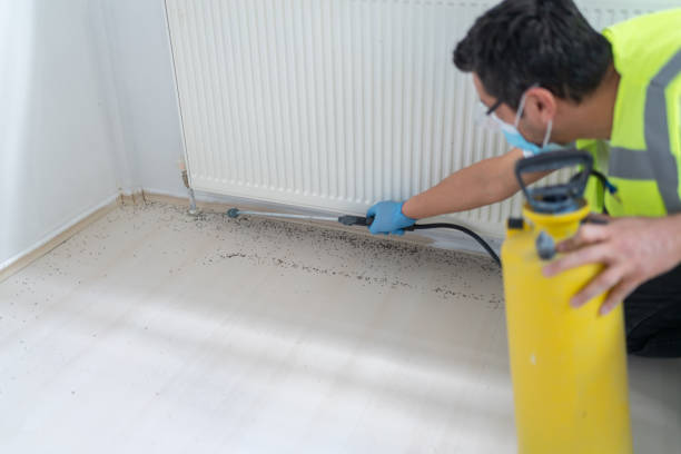 Best Affordable Pest Control Services  in Cornelia, GA